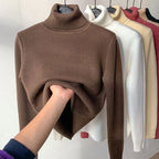 Delphine™ | Pull Luxe Col Roulé Doublé en Fleece